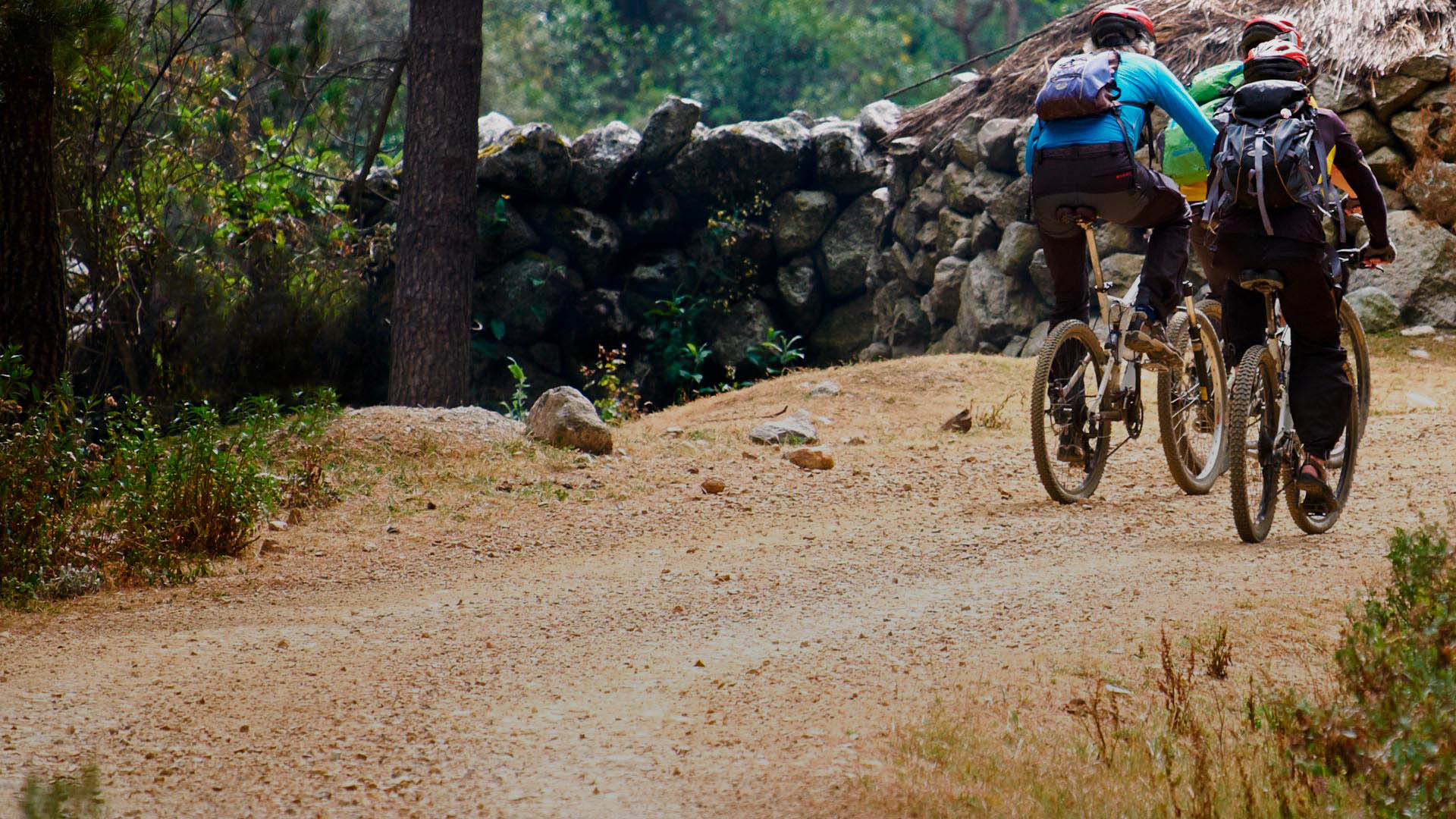 Bicicleta de discount ruta y montaña